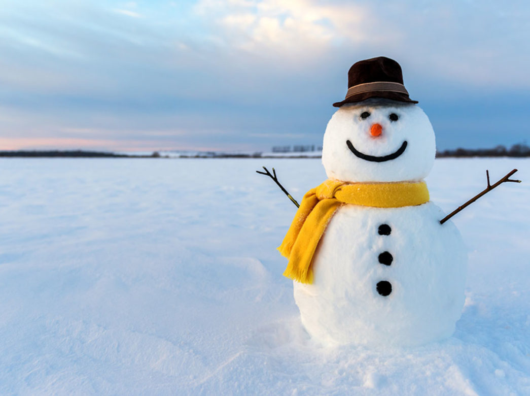 Natal chegando: uma história do boneco de neve – Talent Language